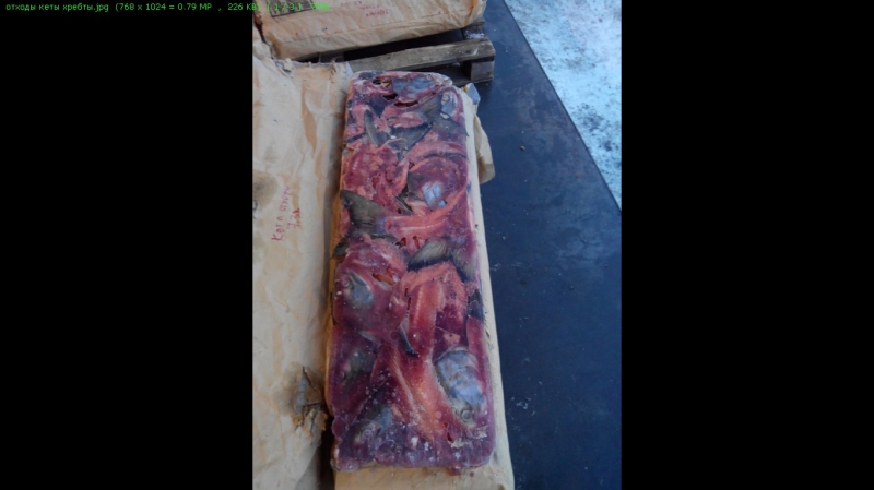 Купим рыбные отходы от 5 до 100 тонн в месяц.
