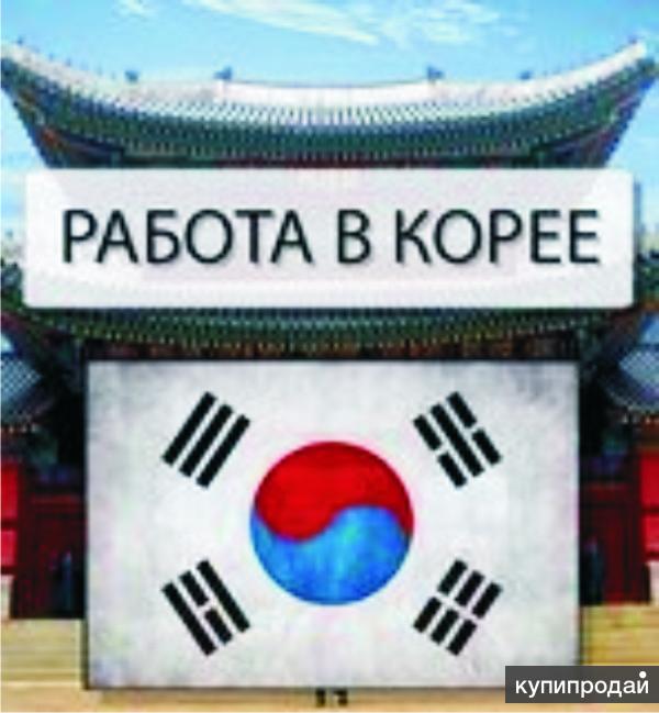 Работа в Южной Корее. ЗП от 2000 у.е. БЕЗ ПРЕДОПЛАТ.