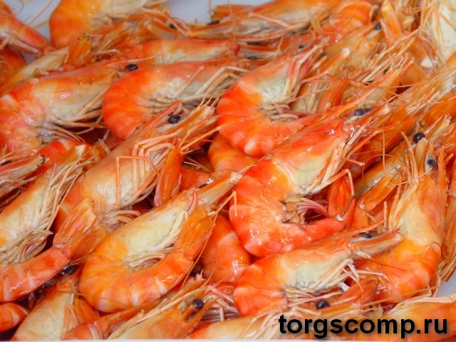 ООО ТСК - оптовые поставки морепродуктов