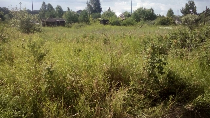 садовый участок ,60 км от Екатеринбурга ,напр.Каменск-Уральский