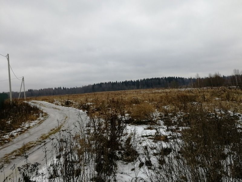 Ленинградское, Пятницкое шоссе, 47 км.