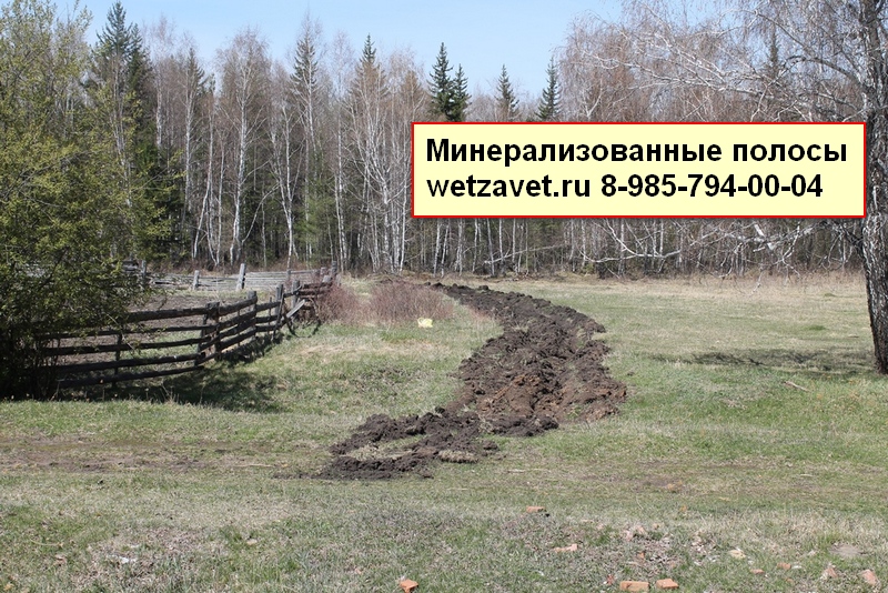 Устройство минерализованных полос, Дмитровский район