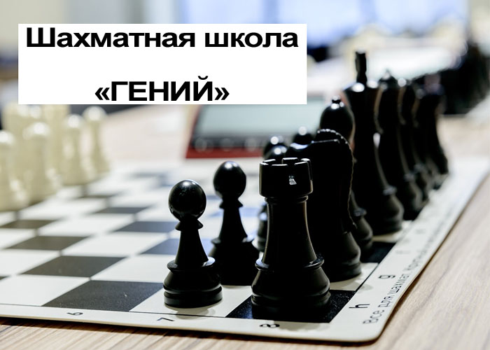 Обучение шахматам по скайпу. Цена урока от 700 руб час