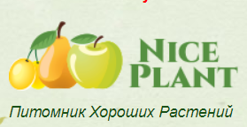 Питомник саженцев Хорошие Растения.