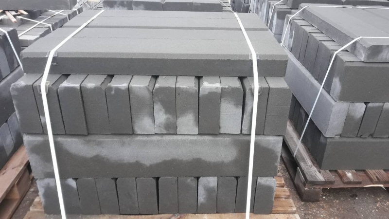    100020080 
