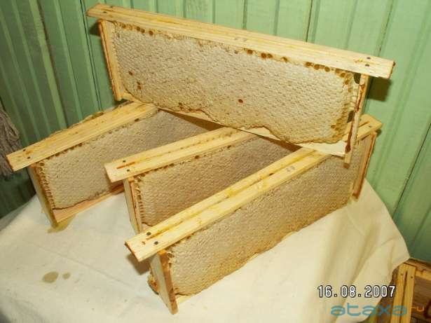 продаю правильный мед с собственной пасеки, мед светлый