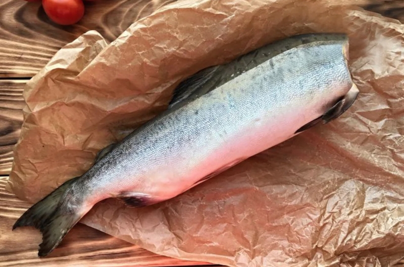 Рыба горбуша, кета, кижуч, нерка, форель