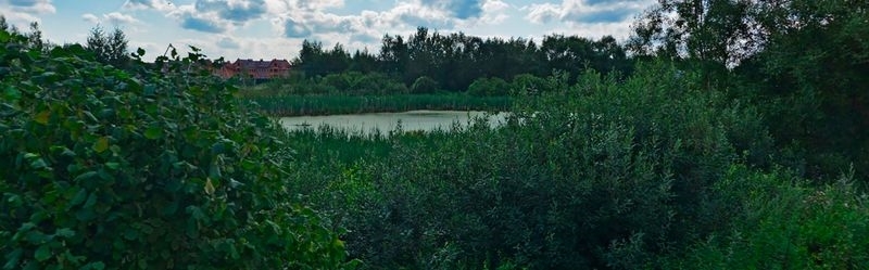 Вашему вниманию предлагается прекрасный, уютный дом.