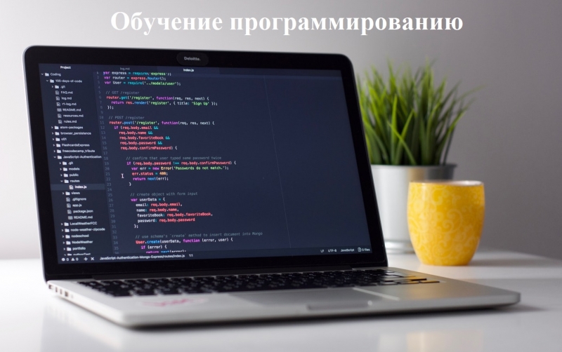 Обучение с нуля до Junior программиста С
