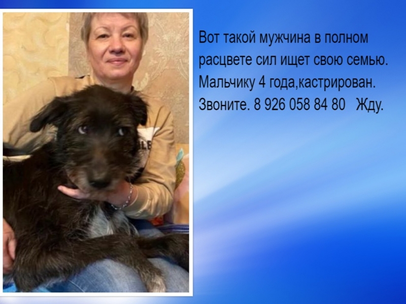 Москва. Бородач Декстер налетай на мужчину в добрые руки.