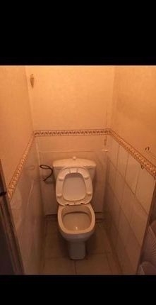  2-    .