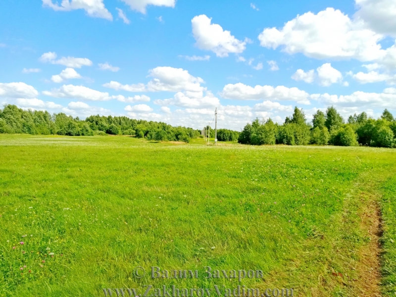 Участок 15 сот. в д. Пенеснарь-3. Смоленск.