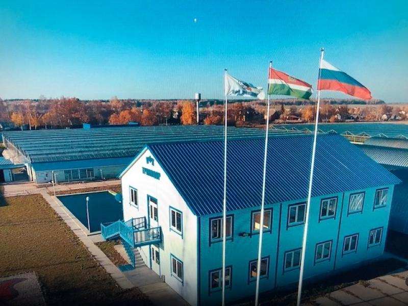 Предлагаем выгодно купить агро-логистический комплекс с теплицами площадью 24 га