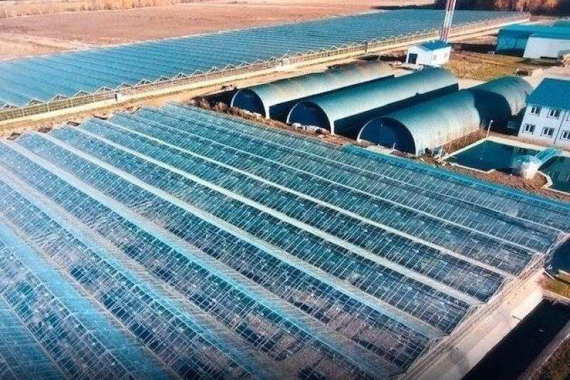 Продается тепличное хозяйство в Калужской области