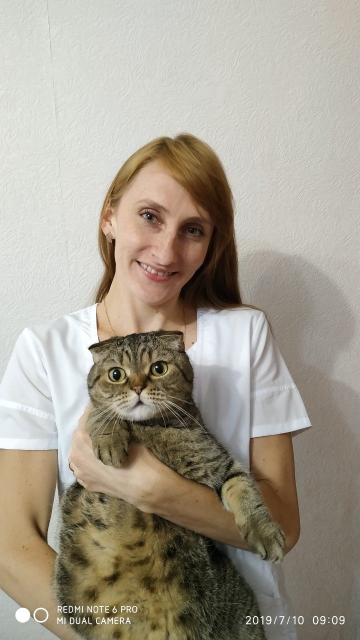 Ветеринарные услуги на дому в Москве