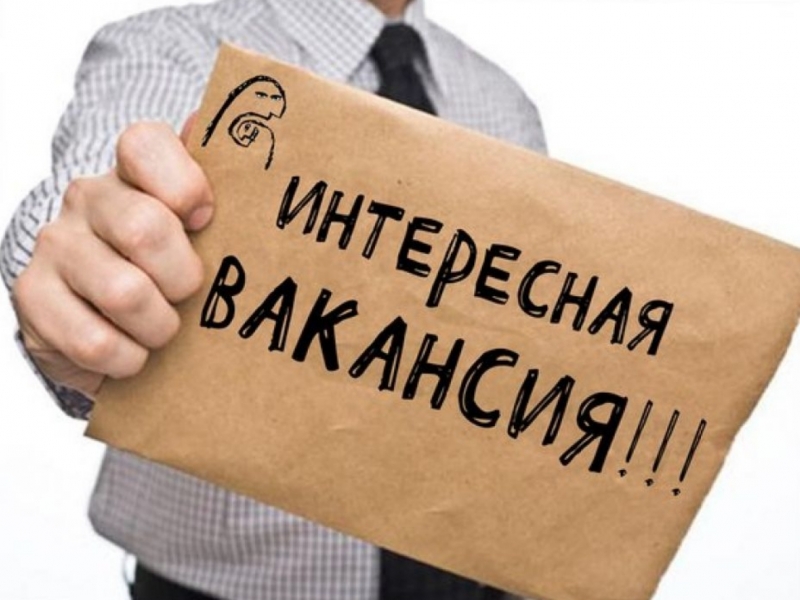 Ищем исполнителей для написания студенческих работ