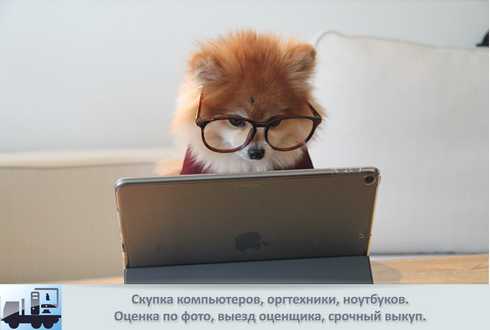 Выкуп и вывоз списанной техники