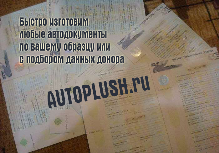 У нас можно купить документы на передвижение - ПТС, СОР, номера, ОСАГО, ПСМ.