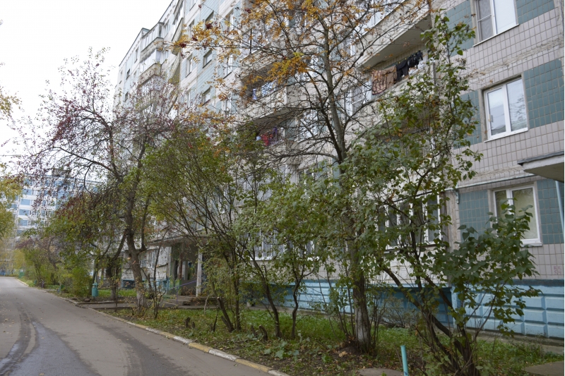 сдается 1 комнатная квартира в городе дмитров, чистая и уютная, есть м ...