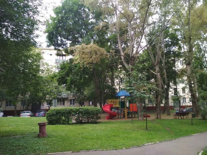 Лот 55595379 Торг строго при просмотре.