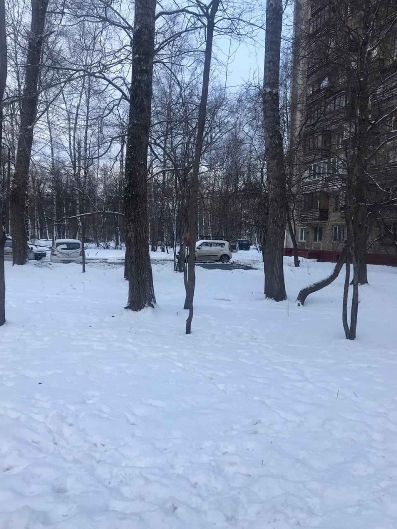 Лот 55896331 Торг строго при просмотре.