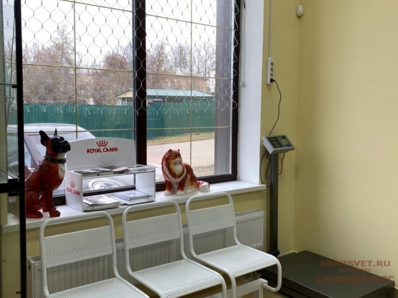 Ветклиника Снежный Барс в Можайске предоставляет весь спектр ветеринарных услуг.