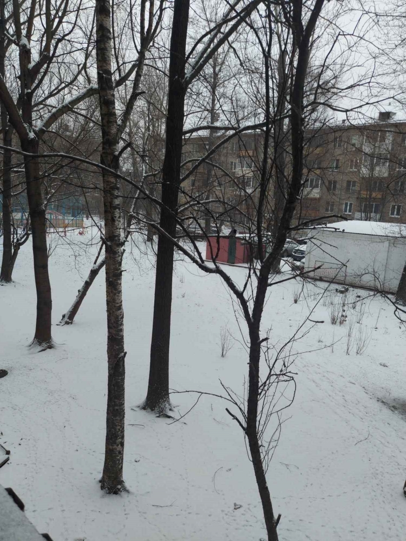 Лот 56765835 Торг строго при просмотре.