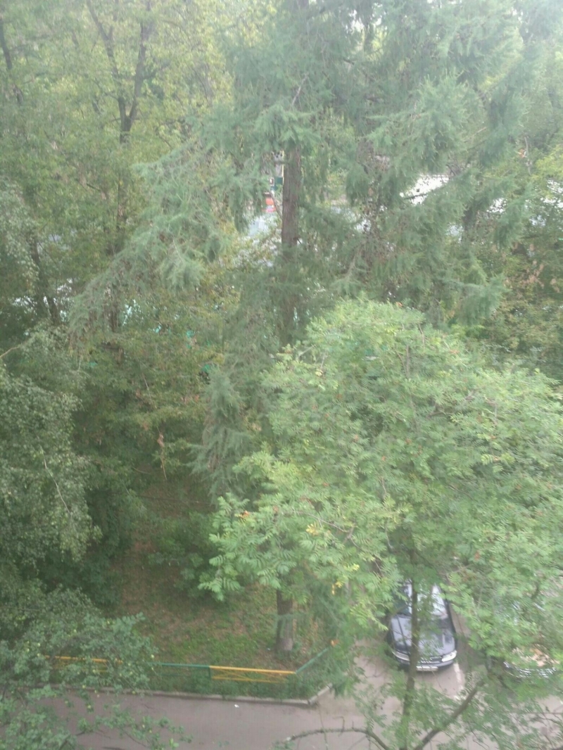 Сдам светлую комнату.