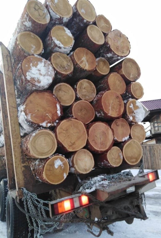 Куплю Экспортник, Пиловочник лиственницы 1-2 сорт от 30 до 36 мм. С места