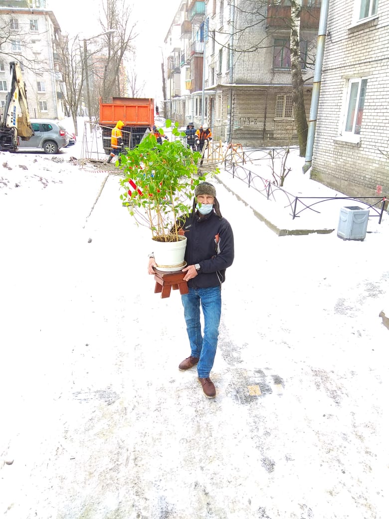 Перевозка Цветочков. Чистая машинка.
