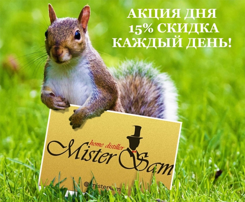 АКЦИЯ ДНЯ