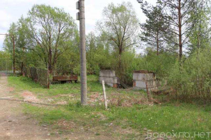 Продам участок в сосновом лесу