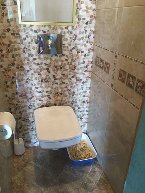 Есть 2 отдельные кровати с подушками, секретер, стул, спорт.