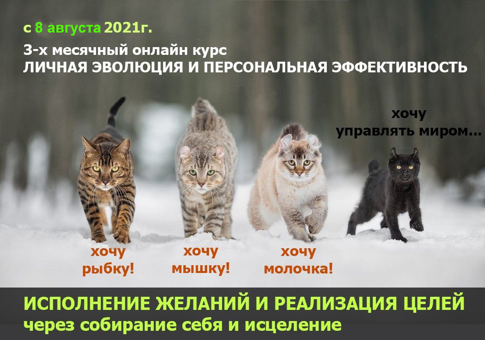 3-х месячный трансформационный онлайн-курс Личной Эволюции и Персональной Эффект