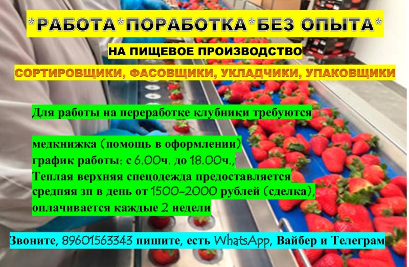 СОРТИРОВЩИКИ, ФАСОВЩИКИ, УКЛАДЧИКИ-УПАКОВЩИКИ