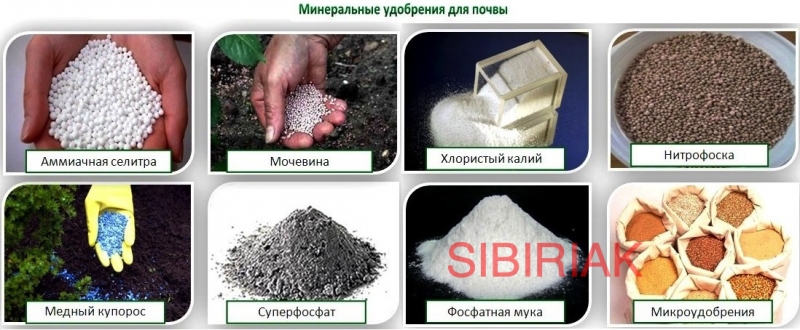 Покупаем Минеральные удобрения