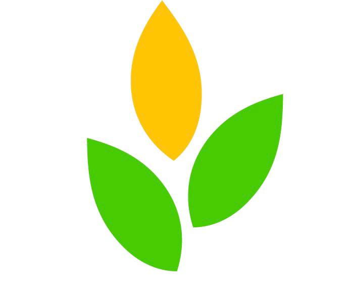 Закупаем зерновые культуры