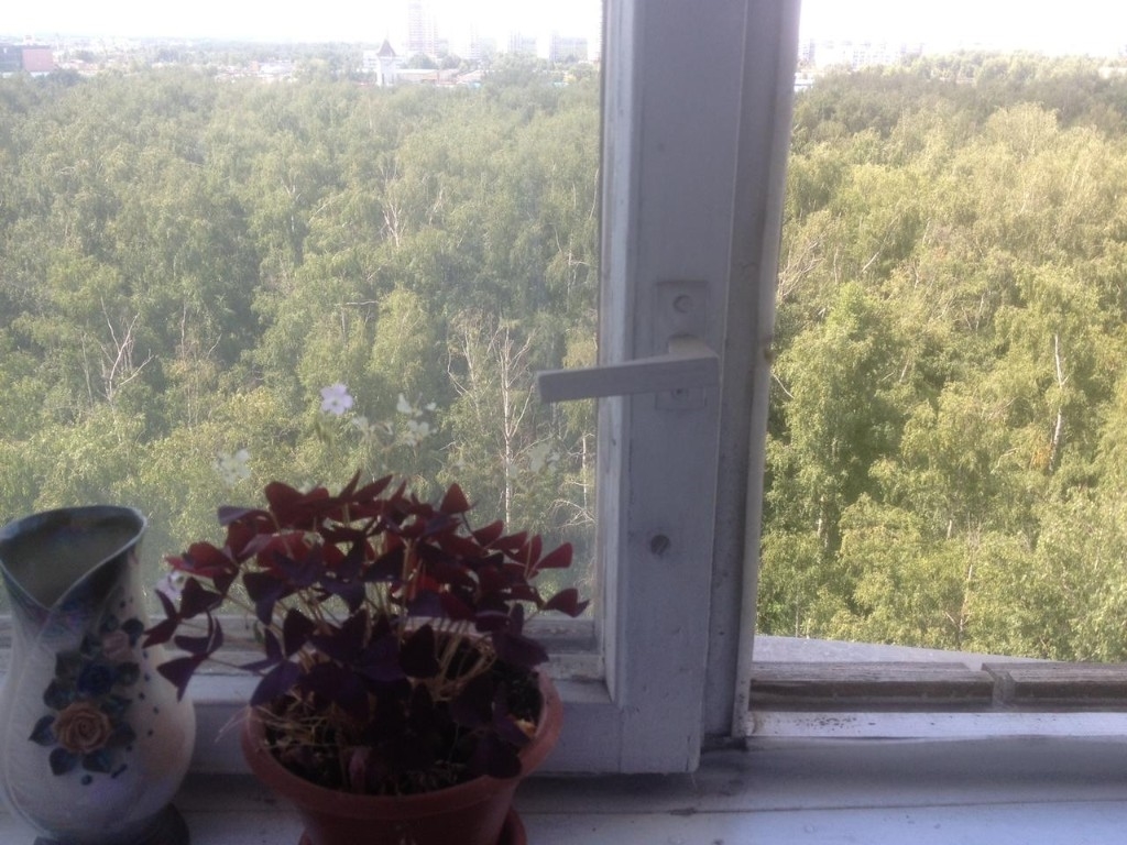 Предлагается вашему вниманию уютная квартира.