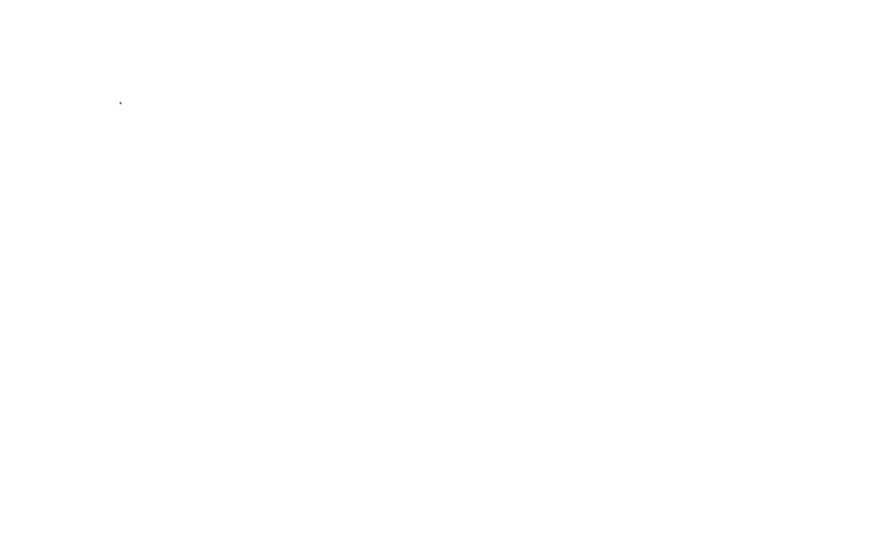   Brazhnikov Partners