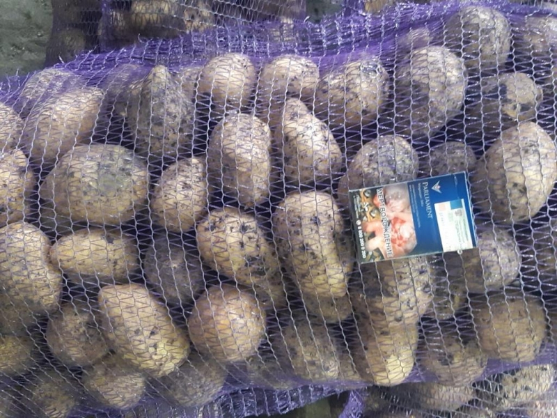 картофель оптом