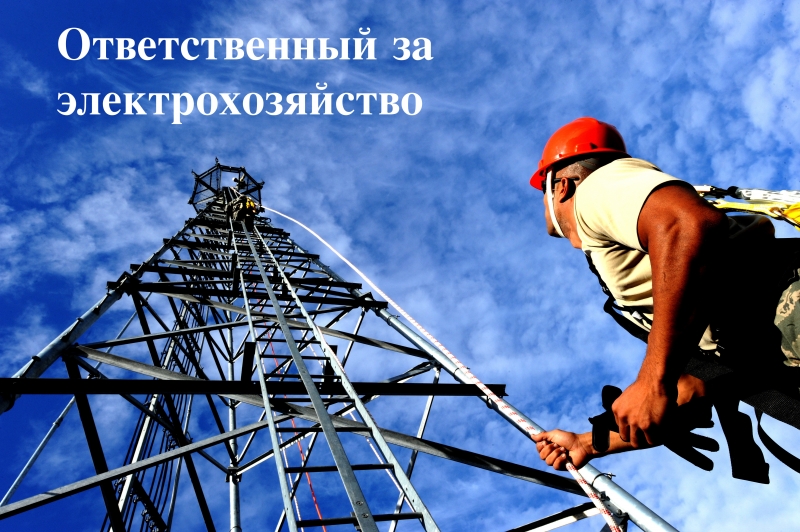 Ответственный за электрохозяйство по договору