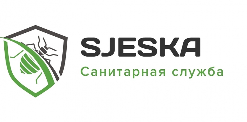 Дезинфектор
