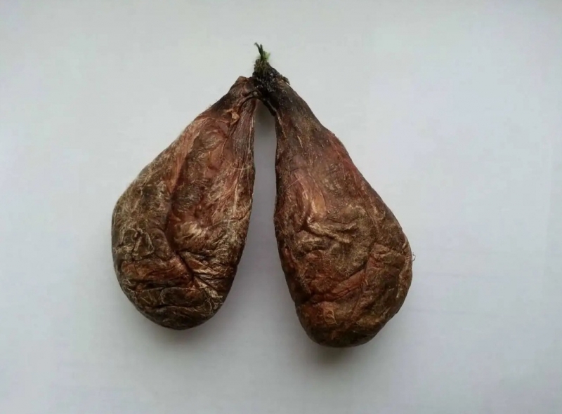 Продам струю бобра мускус, барсучий жир, медвежий жир, кровь марала