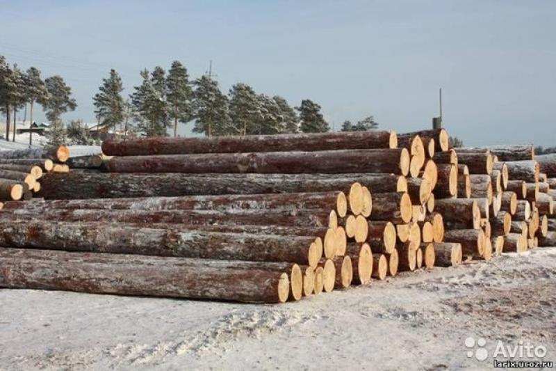 Куплю лес в круглом виде. Красноярск