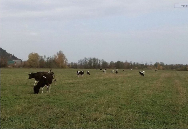 Продажа земельного участка