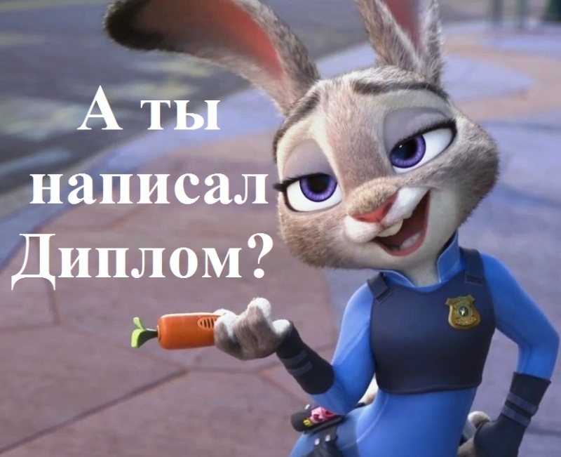 Студенческие работы на заказ