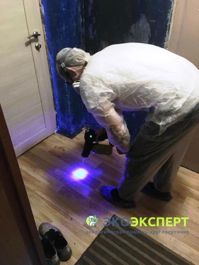 Oчиcткa oт pтyти. Ликвидaция любыx pтyтныx зaгpязнeний