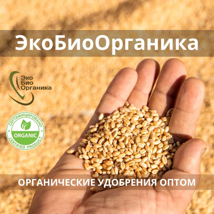 Органические удобрения оптом ЭкстрактБиогумуса ЭкоБиоОрганика