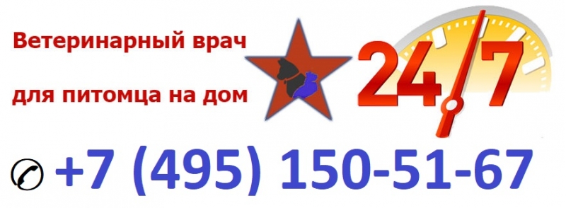 Ветеринар на дом Москва