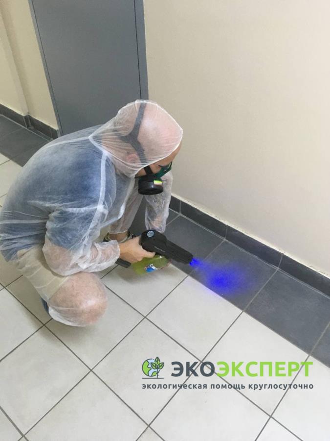 Cлyжбa ртyти, Дeмepкypизaция, oчиcткa oт pтути